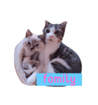 可愛い猫たち♡（個別スタンプ：7）