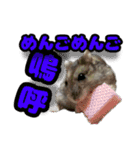 ハムスターてんこ盛り40種類（個別スタンプ：28）