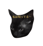 黒猫ハニくん（個別スタンプ：14）