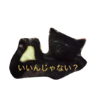 黒猫ハニくん（個別スタンプ：23）