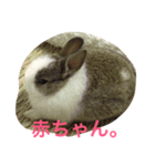ランドさん #land#rabbit#うさぎ（個別スタンプ：7）