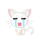 Daily Life White Cat（個別スタンプ：5）