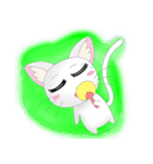Daily Life White Cat（個別スタンプ：14）