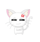 Daily Life White Cat（個別スタンプ：16）