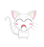 Daily Life White Cat（個別スタンプ：31）