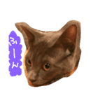 グレー猫グレオくん（個別スタンプ：3）