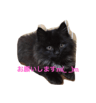 かわいいkarachan（個別スタンプ：3）