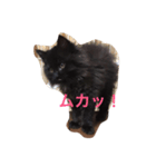 かわいいkarachan（個別スタンプ：5）