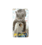 クウたろ〰️‼️と仲間達（個別スタンプ：7）
