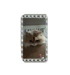クウたろ〰️‼️と仲間達（個別スタンプ：8）