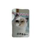 クウたろ〰️‼️と仲間達（個別スタンプ：9）
