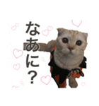 ねこのみるちゃん（個別スタンプ：7）
