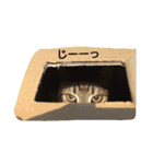 にゃあくんと一緒（個別スタンプ：4）