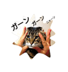 にゃあくんと一緒（個別スタンプ：17）