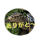 テンくん（個別スタンプ：2）