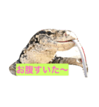 テンくん（個別スタンプ：6）