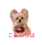 愛しいマリン（個別スタンプ：4）