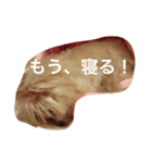 愛しいマリン（個別スタンプ：7）