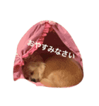 愛しいマリン（個別スタンプ：11）