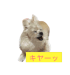 愛しいマリン（個別スタンプ：12）