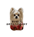 愛しいマリン（個別スタンプ：14）