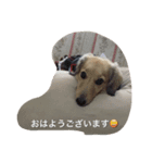 姫ちゃん2（個別スタンプ：1）