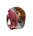 姫ちゃん2（個別スタンプ：2）
