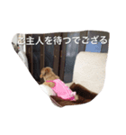 姫ちゃん2（個別スタンプ：3）