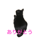 黒猫みーちゃん（個別スタンプ：2）