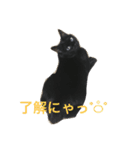 黒猫みーちゃん（個別スタンプ：4）