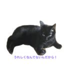 黒猫みーちゃん（個別スタンプ：5）
