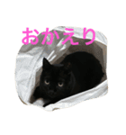 黒猫みーちゃん（個別スタンプ：7）