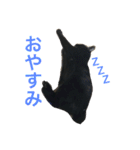 黒猫みーちゃん（個別スタンプ：8）