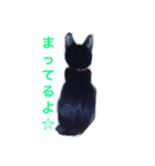 黒猫みーちゃん（個別スタンプ：10）