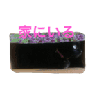 黒猫みーちゃん（個別スタンプ：12）