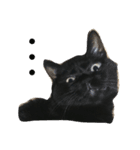 黒猫みーちゃん（個別スタンプ：14）