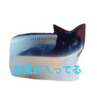黒猫みーちゃん（個別スタンプ：19）