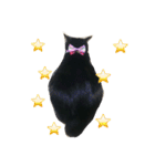 黒猫みーちゃん（個別スタンプ：24）