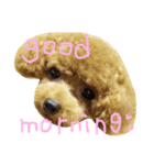 可愛い動物たち。あいさつ☆彡（個別スタンプ：1）