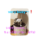 三毛猫 nana 02（個別スタンプ：1）