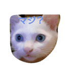フィーリング（個別スタンプ：4）