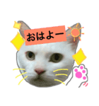 みるく と いっしょ（個別スタンプ：1）