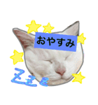 みるく と いっしょ（個別スタンプ：2）