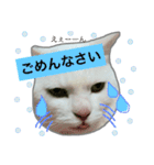 みるく と いっしょ（個別スタンプ：4）