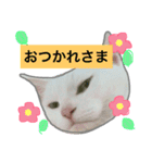 みるく と いっしょ（個別スタンプ：5）