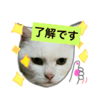 みるく と いっしょ（個別スタンプ：6）