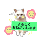 みるく と いっしょ（個別スタンプ：7）