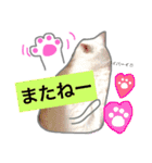 みるく と いっしょ（個別スタンプ：8）