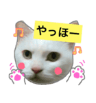 みるく と いっしょ（個別スタンプ：9）