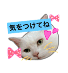 みるく と いっしょ（個別スタンプ：10）